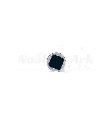 Stainless 6.35mm (¼") Stub Shaft w/M6 Thread Stainless 6.35mm (¼") Stub Shaft w/M6 Thread